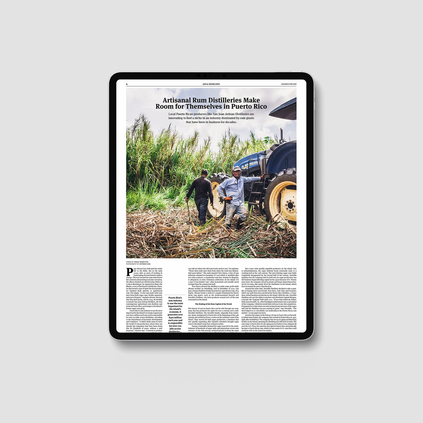 Life & Thyme Post #10: The Migrant Kitchen Issue (Digital)