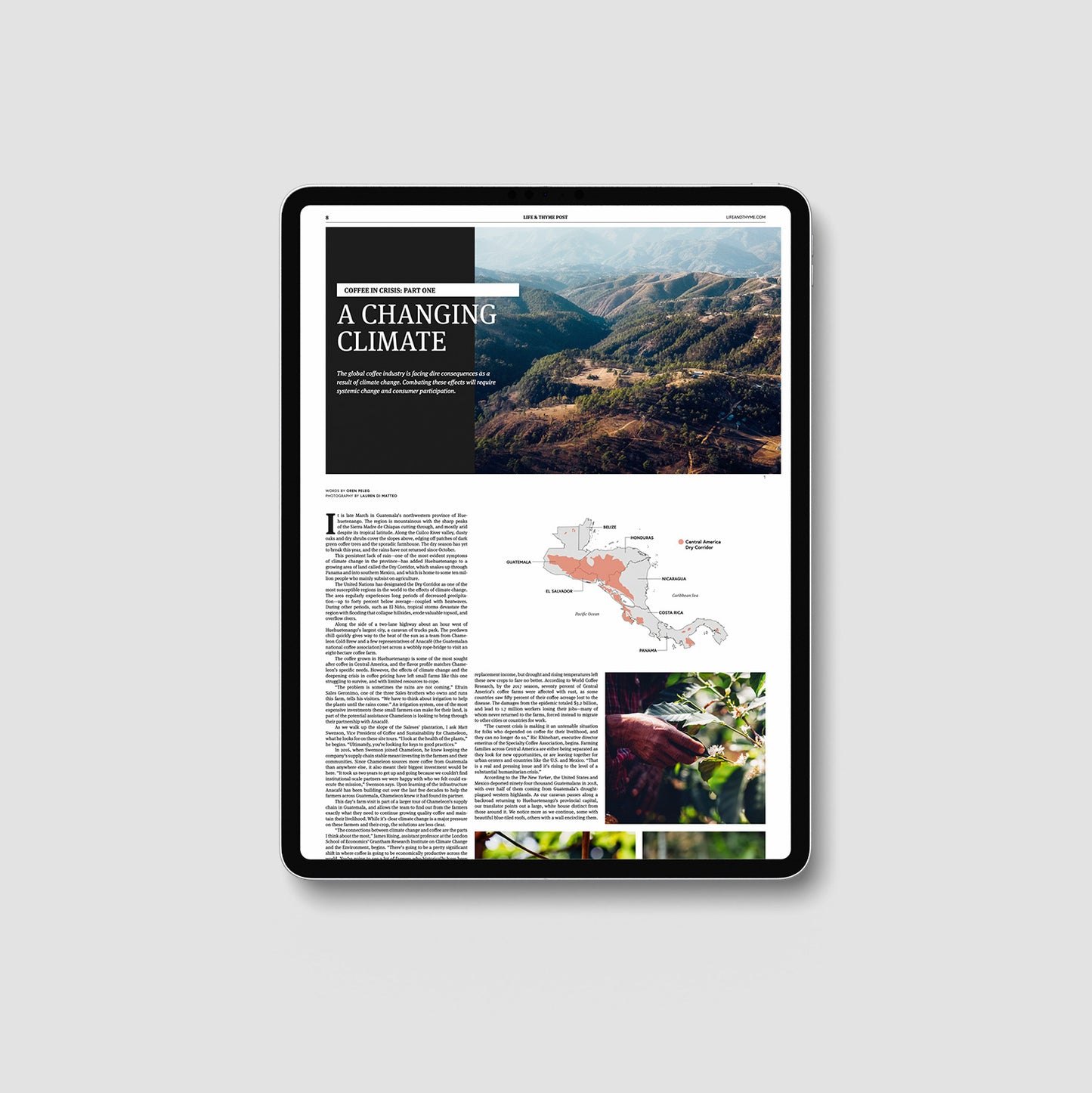 Life & Thyme Post #1: The Coffee Issue (Digital)