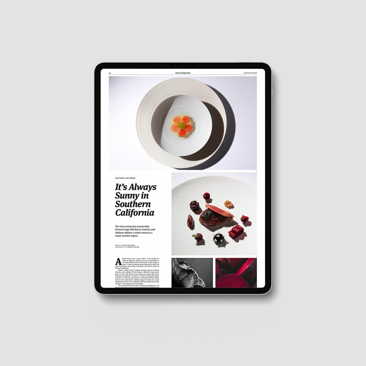 Life & Thyme Post #3: The Winter Issue (Digital)