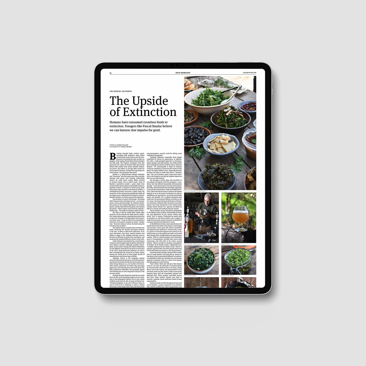 Life & Thyme Post #4: The Extinction Issue (Digital)