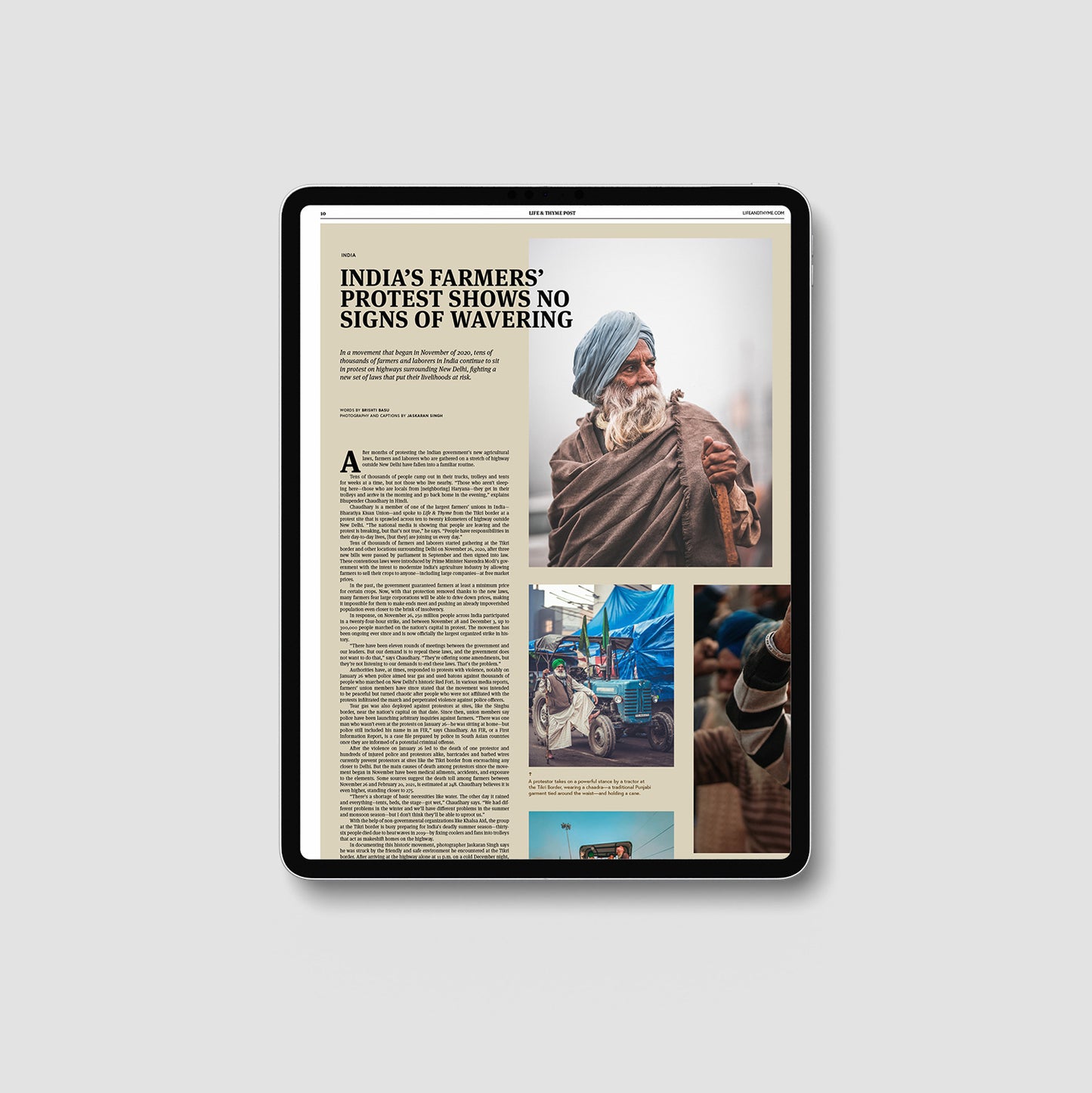 Life & Thyme Post #8: The History Issue (Digital)